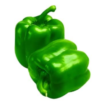 Capsicum