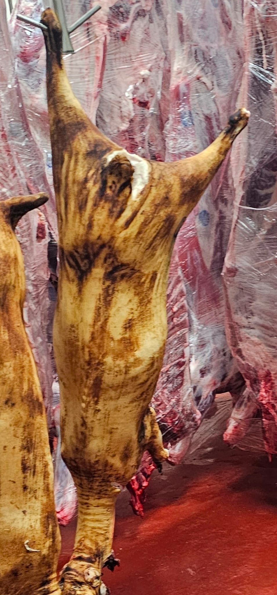Full Goat Meat - Burnt Skin-on